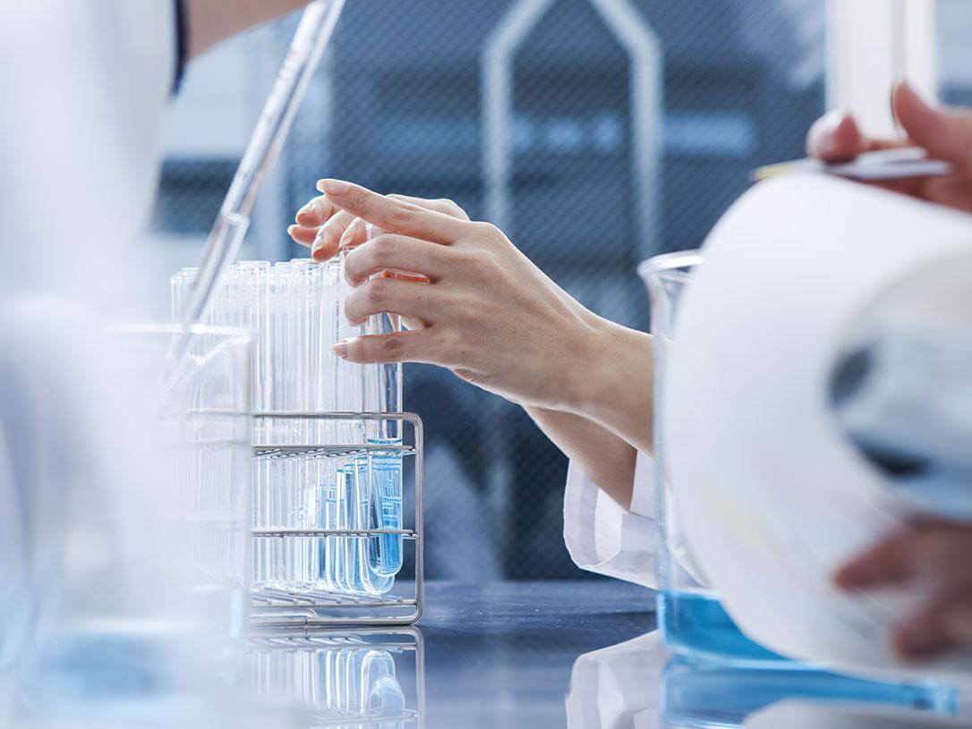 Standardy i jakość w Sulimie